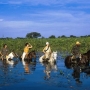 Como é o Pantanal?